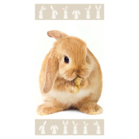Jerry Fabrics Bavlněná froté osuška 70x140 cm - Bunny 