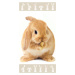 Jerry Fabrics Bavlněná froté osuška 70x140 cm - Bunny "Brown"