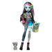 Monster High příšerka monsterka - Frankie