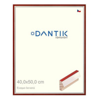 DANTIK rámeček 40 × 50, EVOQUE červený plexi čiré