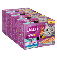 Multipack WHISKAS TASTY MIX kapsičky 48 x 85 g - Fish of the Day v omáčce