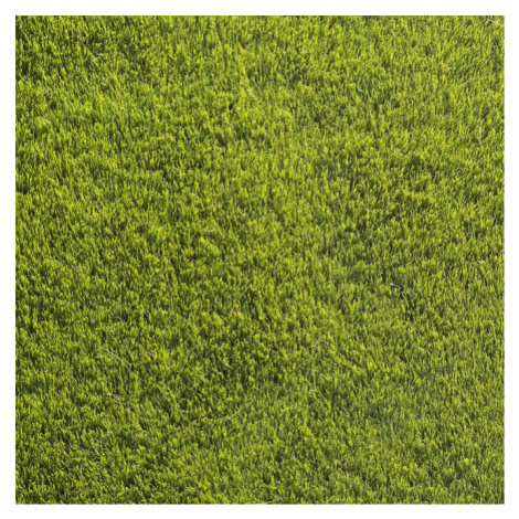 Umělá tráva Hemlock
