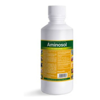 Aminosol Sol 250ml
