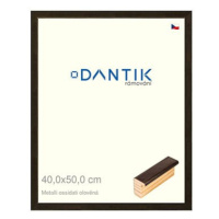 DANTIK rámeček 40 × 50, Metalli oidati olověný plexi čiré