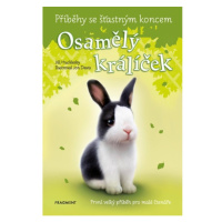 Příběhy se šťastným koncem - Osamělý králíček