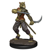 WizKids D&D Icons of the Realms Premium Figures: Tabaxi Rogue Male
