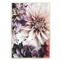 Obraz Artbox 50x70 AB053 Flowers