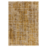 Koberec v hořčicové barvě 240x340 cm Kuza – Asiatic Carpets
