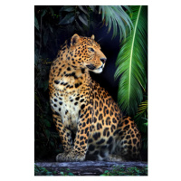 Fotografie Close young leopard portrait in jungle, Byrdyak, 26.7 × 40 cm