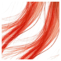 Elyseé Infinity Hair Color Mousse - barevná pěnová tužidla, 75 ml 4.4 Copper - měděná