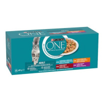 Purina One Multipack minifiletky ve šťávě 40x85g