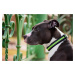 Vsepropejska Bando reflexní obojek pro psa | 22 - 66 cm Barva: Fialová, Obvod krku: 32 - 54 cm
