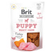 BRIT Jerky Puppy Turkey Meaty Coins pamlsky pro štěňata 80 g