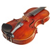 Eastman Rudoulf Doetsch Violin 4/4 (VL701G )