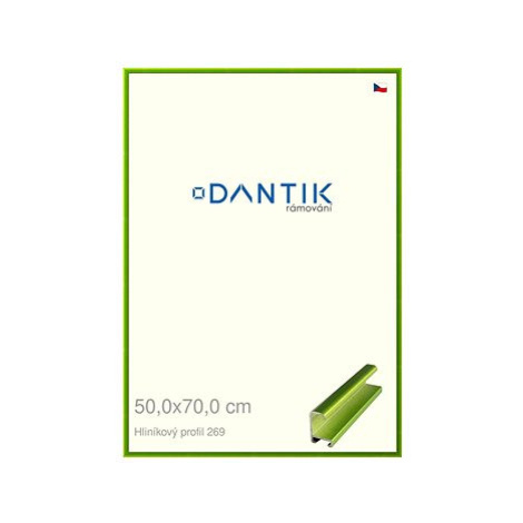 DANTIK rámeček 50 × 70, ALU profil 7269 Zelený Smaragd broušený plexi čiré