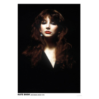 Plakát, Obraz - Kate Bush - Amsterdam 1978, 59.4 × 84.1 cm