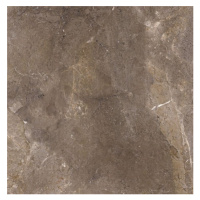 Dlažba Porcelaingres Royal Stone imperial brown 100x100 cm mat X1010381X6