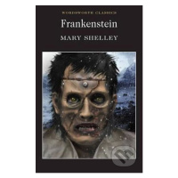 Frankenstein - Mary Shelley - kniha z kategorie Beletrie pro děti