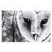 Obraz na plátně OWL A různé rozměry Ludesign ludesign obrazy: 80x60 cm