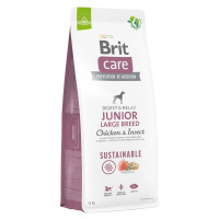 Brit Care Grain-free Junior Large Breed Salmon & Potato 3 kg