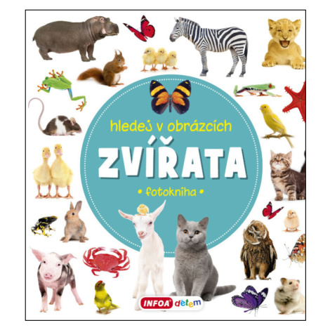 Zvířata - Hledej v obrázcích Infoa