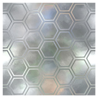 Skleněný panel 60/60 Reflex Hex Esg