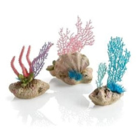 biOrb coral fans & shells set