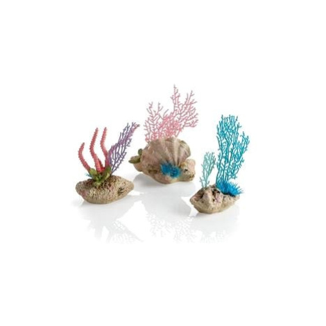 biOrb coral fans & shells set