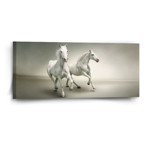 Obraz Dva bílí koně - 110x50 cm