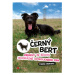 Černý Bert - příběhy ze života nehorázně spokojeného psa CPRESS