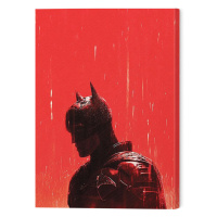 Obraz na plátně The Batman - Rain, (30 x 40 cm)