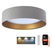 LED Stropní svítidlo SMART GALAXY LED/24W/230V Wi-Fi Tuya šedá/zlatá + DO