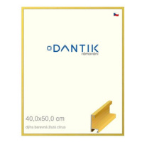 DANTIK rámeček 40 × 50, ALU profil 6035 Dýha barevný žlutý citrus plexi čiré