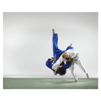 Fotografie Two men fighting judo, Ryan McVay, 40 × 30 cm