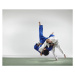 Fotografie Two men fighting judo, Ryan McVay, (40 x 35 cm)