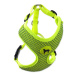 Postroj Active Dog Mellow XS limetka 1,5x30-40cm