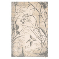 Krémový vlněný koberec 240x340 cm Botany – Agnella