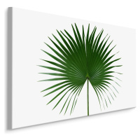 MyBestHome BOX Plátno Zelený List Na Bílém Pozadí Varianta: 40x30