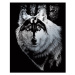 Škrábací obrázek stříbrný - Dračí vlk