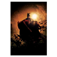 Fotografie Batman Begins, 2005, 26.7 × 40 cm