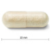 Jamieson Probiotic 60 miliard ULTRA STRENGTH 24 tablet