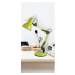 Rabalux 4178 Samson stolní lampa zelená, 49 cm