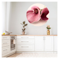 Samolepky na zeď do kuchyně - Květ v růžové barvě
