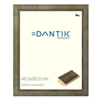 DANTIK rámeček 40 × 50, Artdeco Champagne sklo čiré