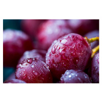 Fotografie Red grape, DragonFly, 40x26.7 cm