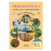 Přírodověda 4 – učebnice, Čtení s porozuměním - Lenka Andrýsková, Thea Vieweghová