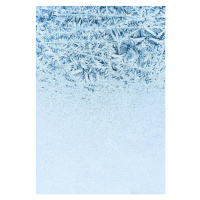 Fotografie Frost on the window, Poike, 26.7 × 40 cm