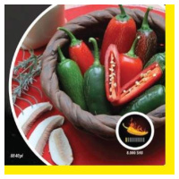 Paprika chilli Jalapeno PIQUANT