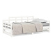 Výsuvná postel bílá masivní borovice 2× (80 × 200) cm, 820348