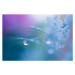 Fotografie Water drop in blue, YuriF, 40 × 26.7 cm